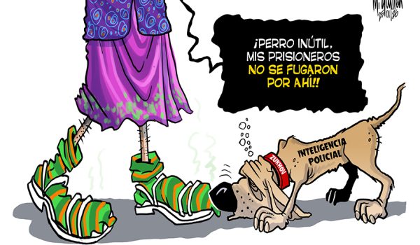 Caricatura 26/01/2026 / «inteligencia policial chamuca»