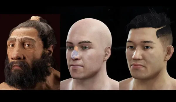 El primer rostro es la reconstrucción de un neandertal, hecha por John Gurche y exhibida en la Institución Smithsonian. El segundo y el tercero son hombres modernos, uno europeo y otro del este de Asia.