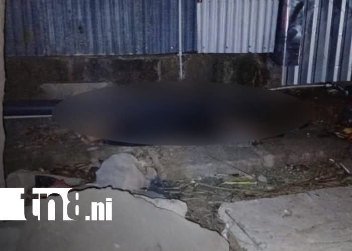 José Arturo Matute, de 65 años, murió luego que fuera atropellado por el conductor de una camioneta que se dio a la fuga. Foto: Canal 8.