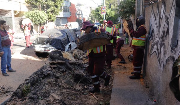 Fuerte sismo provoca la muerte de un hombre en Ciudad de México