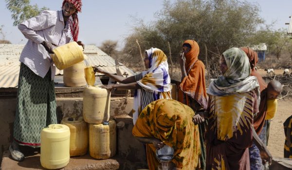 La mitad de la humanidad vivirá en zonas de calor extremo en 2050, proyecta un estudio