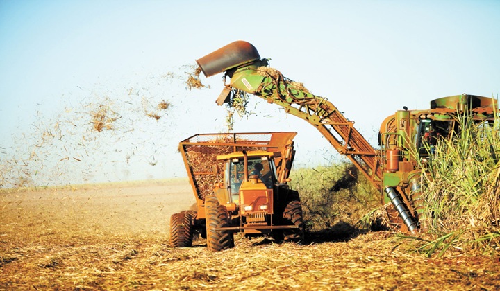 Cultivo de plátano afectado por vientos. Foto: Imagen de referencia