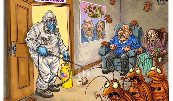 Caricatura 10/02/2026 / Fumigando en el patio