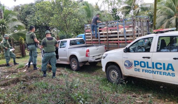 Decomisan 12 caballos en la zona norte de Costa Rica, presumen que proceden de Nicaragua