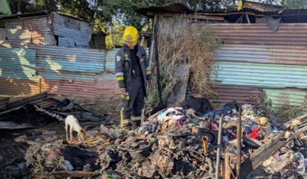 Incendios dejan en escombros seis casas y cobran la vida de varios cachorros