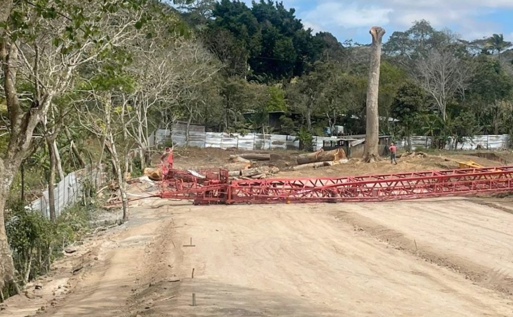Accidente laboral cobran la vida de una persona en Catarina. Se desploma una grúa. Foto: Cortesía