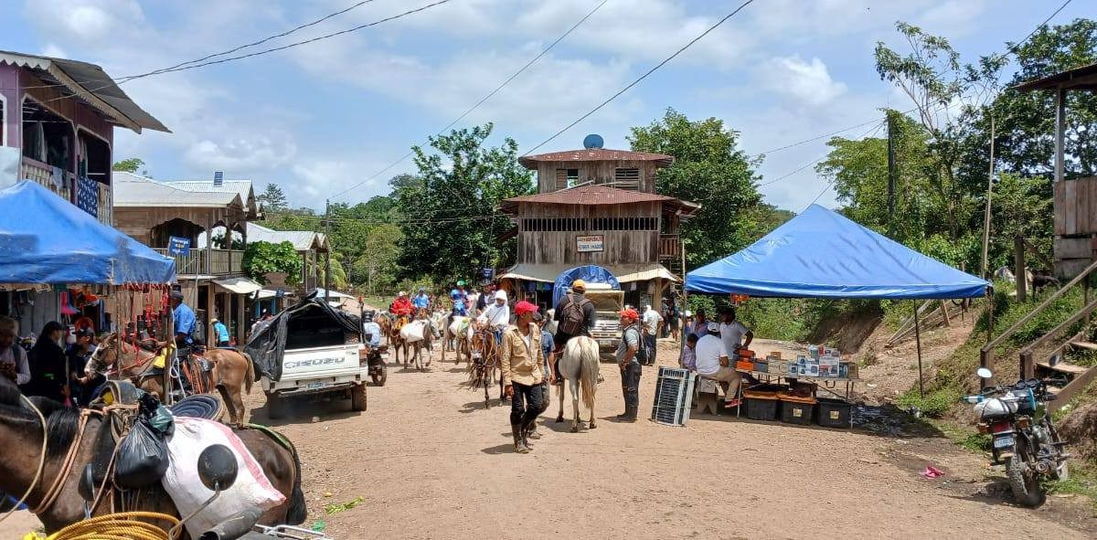 Alcaldía de El Castillo impondrá multas a propietarios de bestias que deambulen sueltas en ciertos sectores de ese municipio. Foto: Tomada de las redes sociales de la Alcaldía de El Castillo.