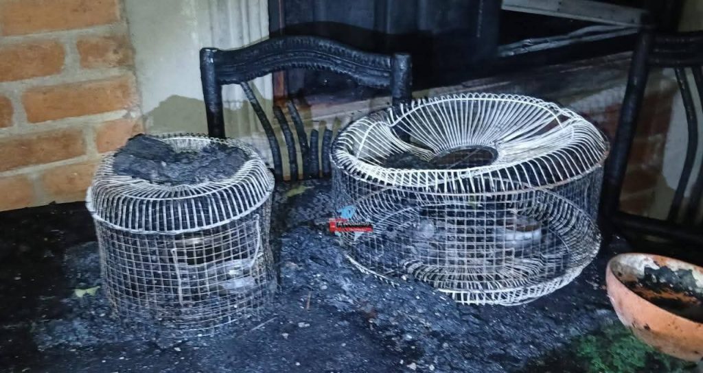 varias mascotas de la infortunada también mueren calcinadas. Foto: Informativo UBC/facebook.