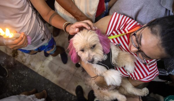 Una persona carga a su perro disfrazado durante una misa este domingo, en Masaya (Nicaragua). EFE/ STR