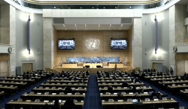 Consejo de Derechos Humanos de la ONU. Captura de pantalla.