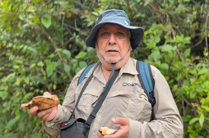 Néstor Chamorro, presidente del Colegio de Geólogos de Costa Rica. LA PRENSA/ REPRODUCCIÓN DE VIDEO/ COLEGIO DE GEÓLOGOS DE COSTA RICA