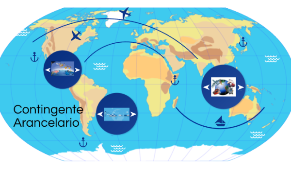 contingentes arancelarios