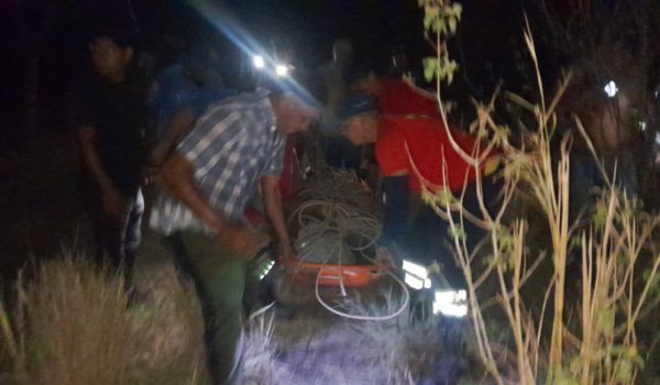 «Salió a garrobear»: hombre muere tras ataque de abejas africanizadas en las faldas de El Coyotepe