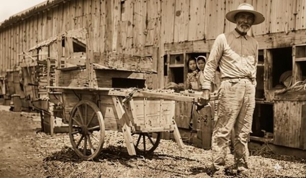 Un hombre jalando un carretón en el antiguo mercado del Patión, precursor del actual mercado Oriental. LA PRENSA/ TOMADA DE LA NOTICIA/ IMAGEN MEJORADA CON IA