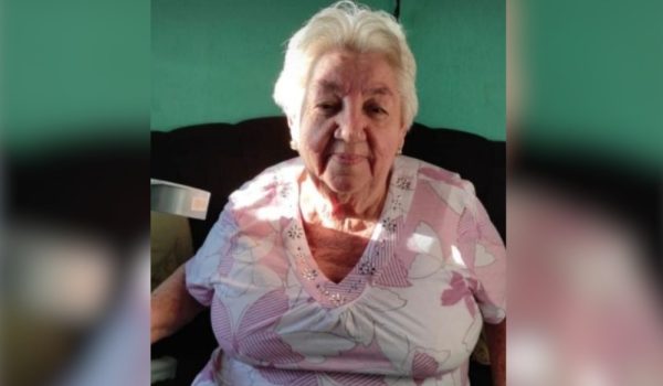 Muere anciana tras ataque de abejas africanizadas en Chontales