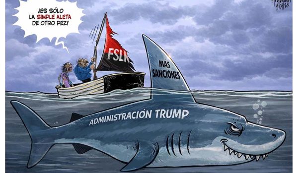 Caricatura 20/04/2026 / Una simple aleta de pez