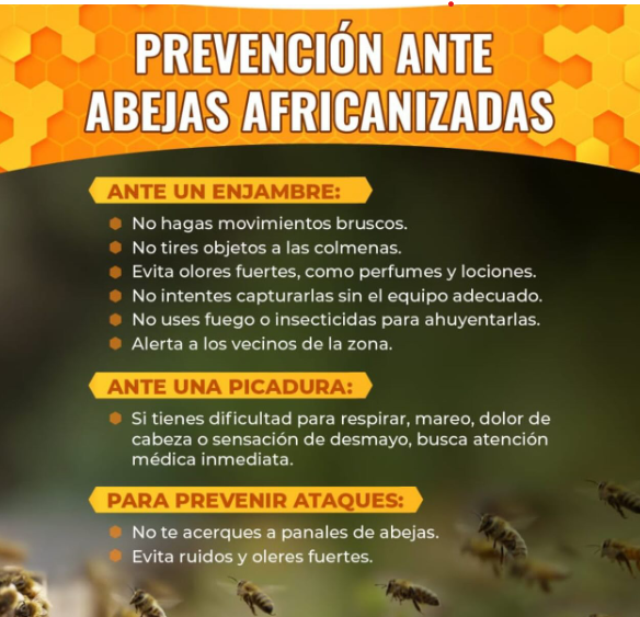 Medidas para evitar picaduras de abejas africanas.