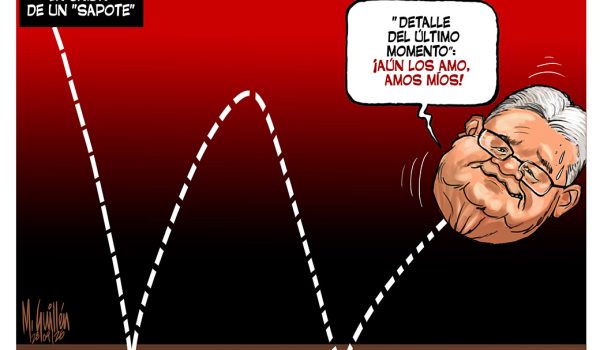 Caricatura 29/04/2026 / La caída de un «sapote»