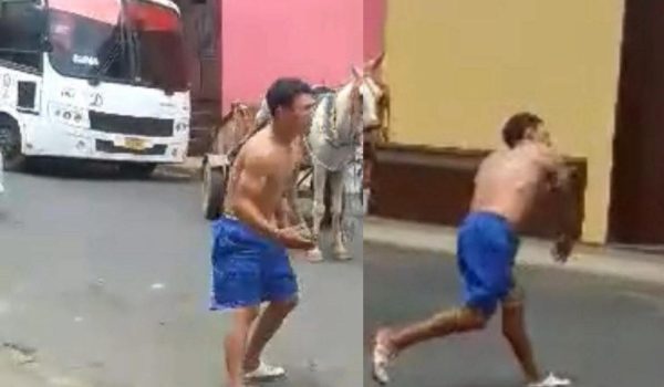 Maltrato animal en León: dueño de caballo ataca a testigos