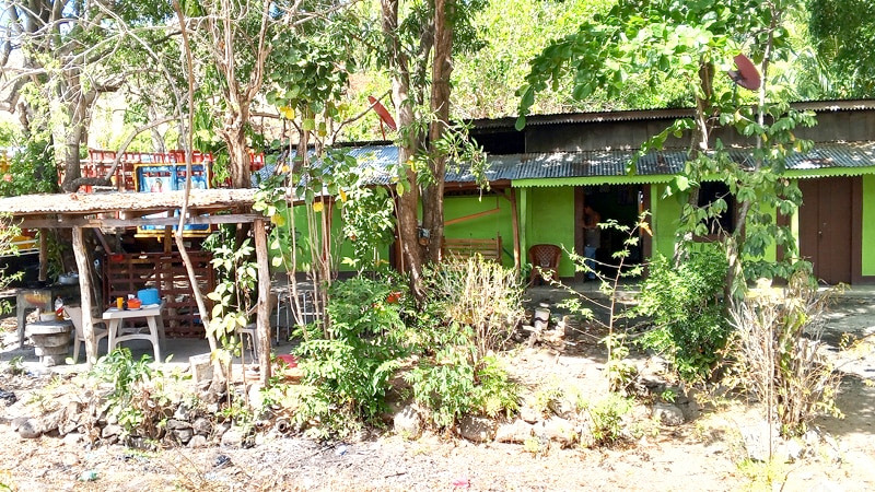 Casa donde vivía Elías Rodríguez Duarte, de 58 años, quien murió tras recibir picaduras de abejas africanizadas. Foto: Punto Noticioso TV.