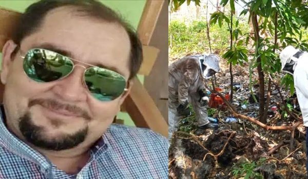 Hijo muere al proteger a su madre de abejas africanizadas