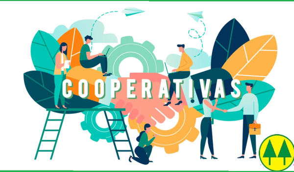 Cooperativas