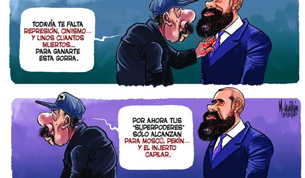 Caricatura 19/05/2026 / El injerto del Poder