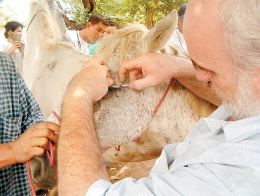 Doctor Enrique Rimbaus dedicó su vida a la protección de animales