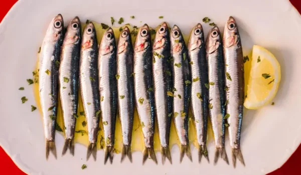Los nutricionistas consideran que las sardinas entran dentro de la categoría de "superalimento". Getty Images