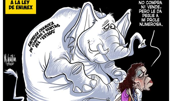 Caricatura 20/06/2026 / Elefante empleador