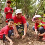 Claro celebra el Día del Árbol sembrando vida y cuidando el futuro del país