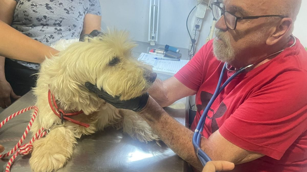 El veterinario uruguayo Enrique Rimbaud murió el 29 de mayo en Managua. Foto: Facebook Enrique Rimbaud
