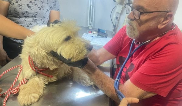 El veterinario uruguayo Enrique Rimbaud murió el 29 de mayo en Managua. Foto: Facebook Enrique Rimbaud