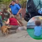 Motociclista que arrolló y mató a un niño en Carretera Vieja a León continúa prófugo