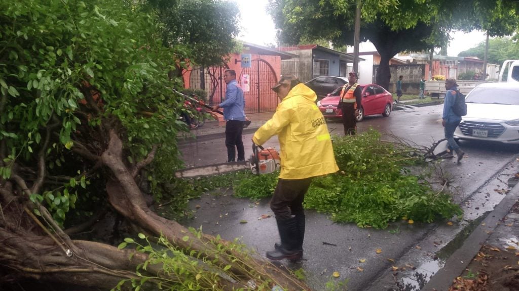 Caída de árboles en Managua