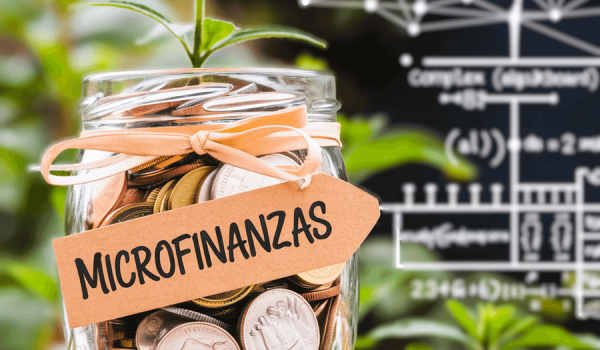Instituciones de MicroFinanzas (IMF)