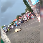 Nicaragua estancada en protección animal. Otro caso de crueldad encendió las redes sociales 