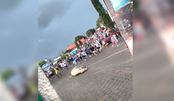 En el cierre de las fiestas patronales del municipio de Masatepe un toro fue arrastrado. Foto: Tomada de Facebook / Perfil Judith Téllez