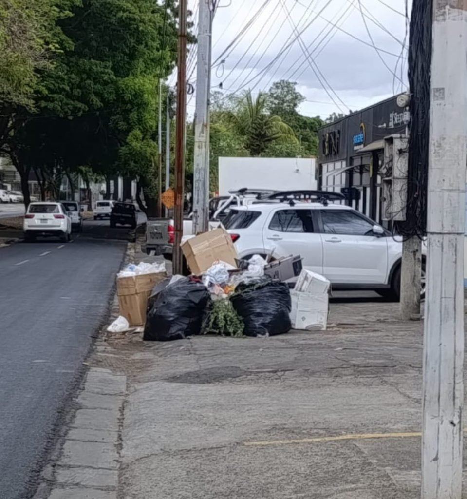 Basura encontrada. YO QUIERO VIVIR LIMPIO