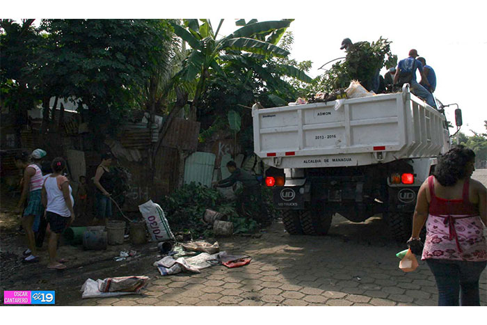 Eliminar basura de los patios es una forma de prevenir el dengue