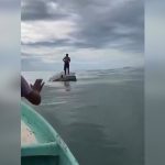 Cuatro vidas a la deriva: la odisea de pescadores nicaragüenses que sobrevivieron a naufragio en Costa Rica