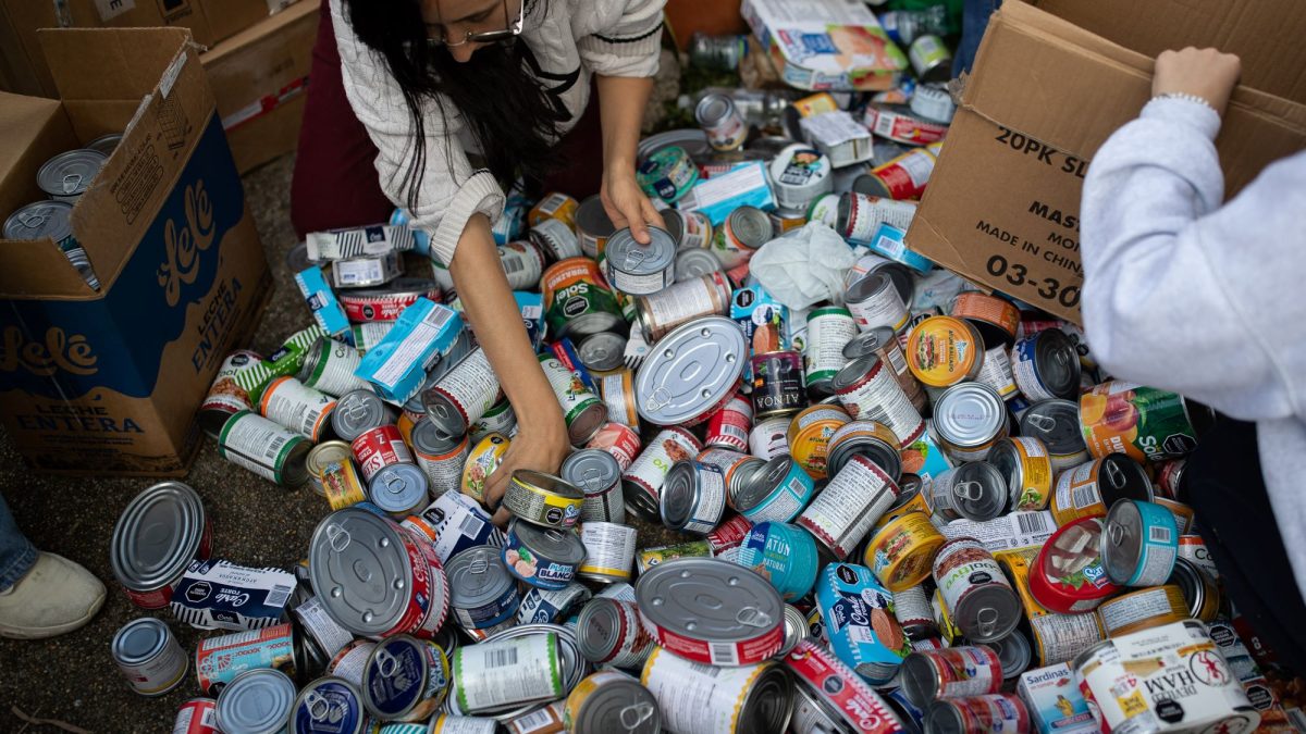 Alimentos para las víctimas de los terremotos. AFP