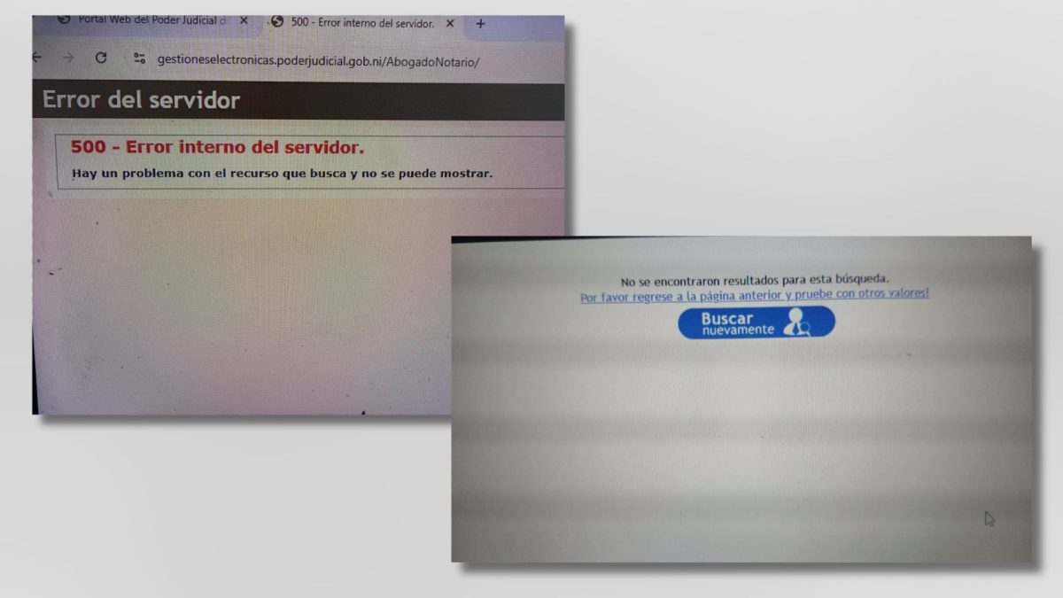 Capturas de pantalla de las búsquedas que realizaron abogados para encontrarse en el Registro de Abogados y Notarios del CSJ.