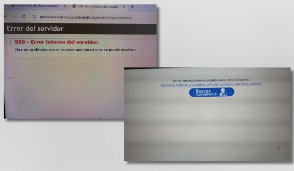 Capturas de pantalla de las búsquedas que realizaron abogados para encontrarse en el Registro de Abogados y Notarios del CSJ.