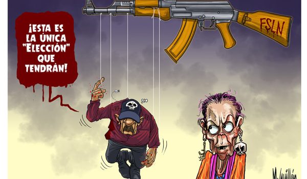 Caricatura 20/07/2026 / Estas son sus elecciones