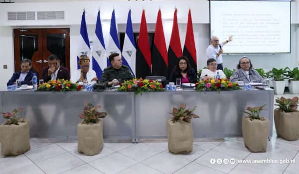 El jefe del Ejército, Julio César Avilés (centro) durante las consultas a la nueva reforma constitucional. Foto: Asamblea Nacional.