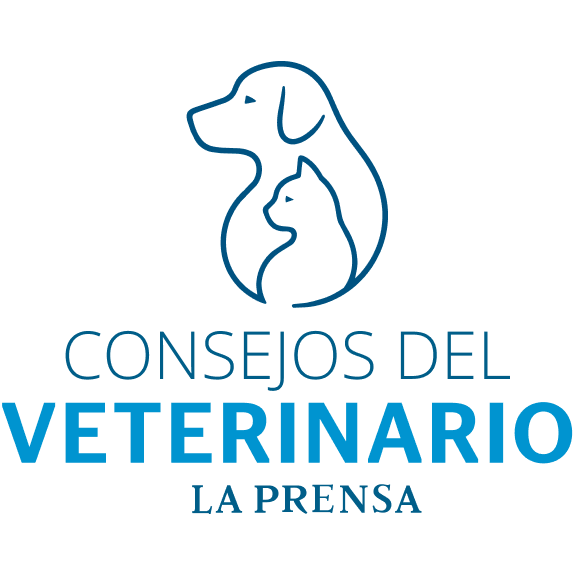 Consejos del Veterinario
