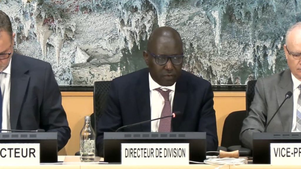 Mahamane Cisse-Gouro (centro), director de la División del Consejo de Derechos Humanos y Mecanismos de Tratados. Captura de pantalla.