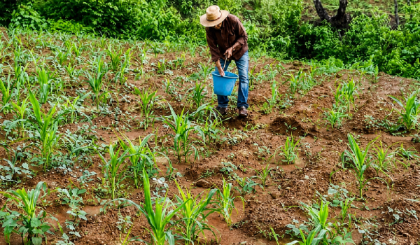 Dictadura no le teme a El Niño ni a los efectos de la crisis en Medio Oriente, mantiene meta de crecimiento del PIB