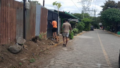 En este lugar ocurrió el ataque del perro Pitbull a un menor de 12 años, en Masaya. Foto: Radio ya.